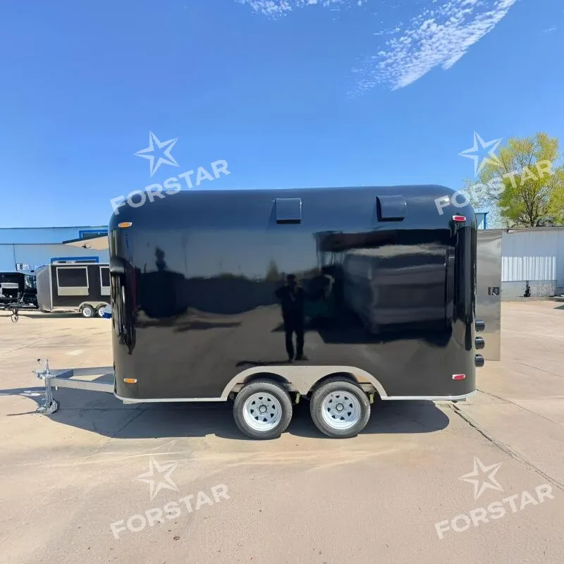 FS-D300 1 Door Gloss Black Concession Food Trailer gallery image 5