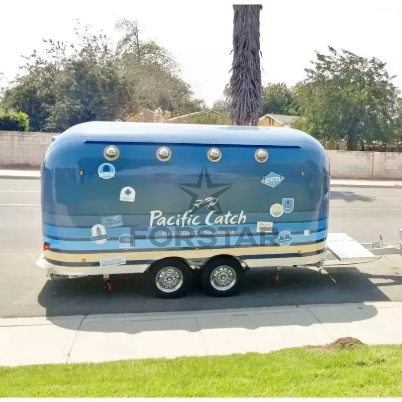 FS-D480 Custom Painted 1 Door Airstream Concession Food Trailer gallery image 2
